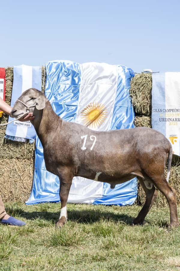 Lote SANTA INES P.P.C.