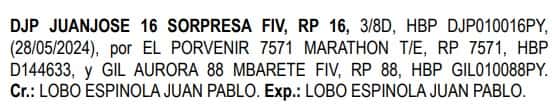 Lote LOTE 7