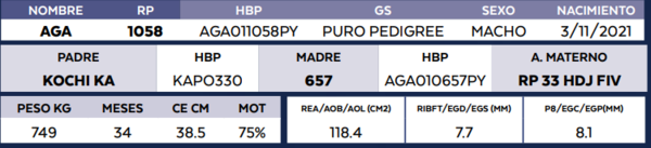 Lote LOTE 71