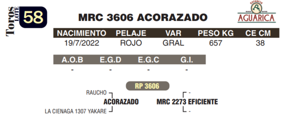 Lote LOTE 58