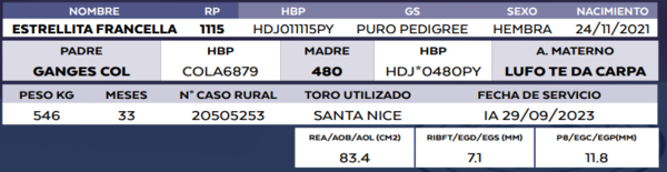 Lote LOTE 35