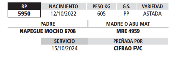 Lote LOTE 25