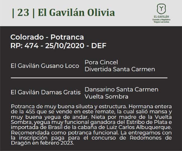 Lote El Gavilán Olivia (RP 474) Cabaña "El Gavilán"