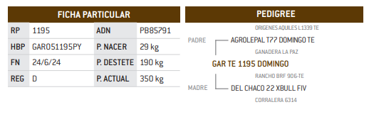Lote LOTE 19