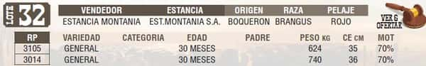 Lote LOTE 32 - EN VIVO