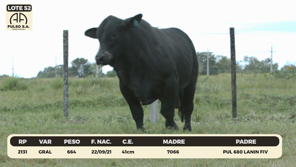 Lote LOTE 52