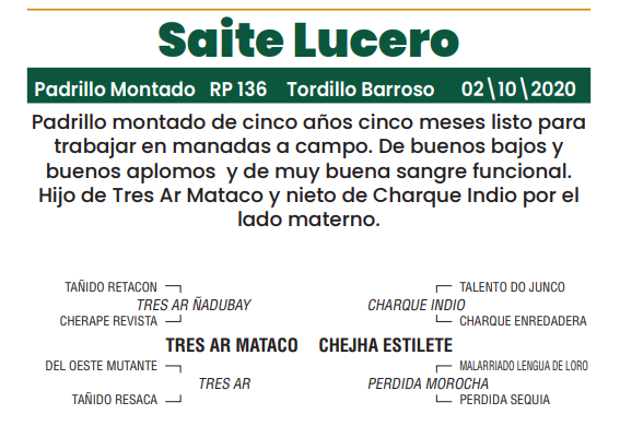 Lote LOTE 1