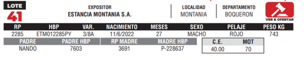 Lote LOTE 41- CAMPO