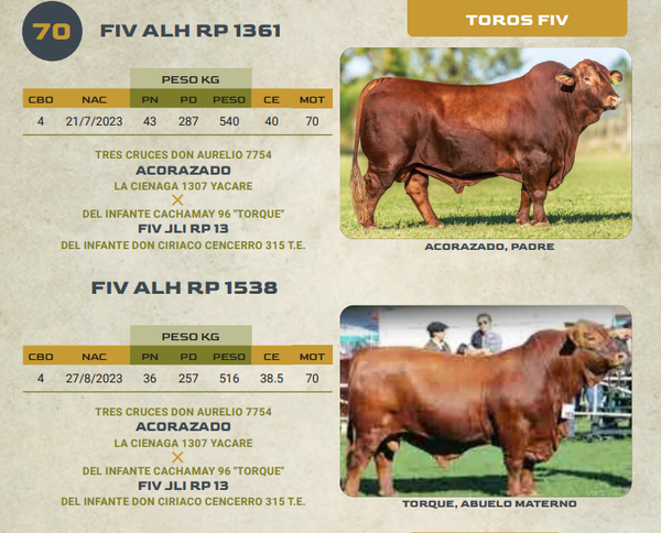 Lote LOTE 70