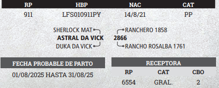Lote LOTE 1 - PREÑECES