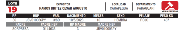 Lote LOTE 19- JUNIOR