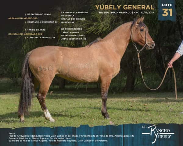 Lote Yubely General