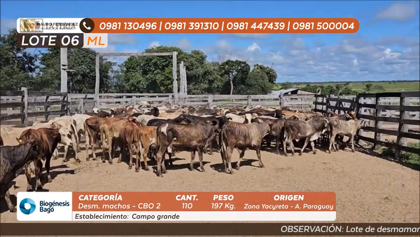 Lote ESTANCIA CAMPO GRANDE