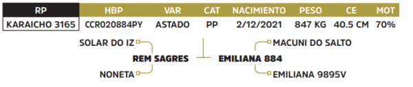 Lote LOTE 14