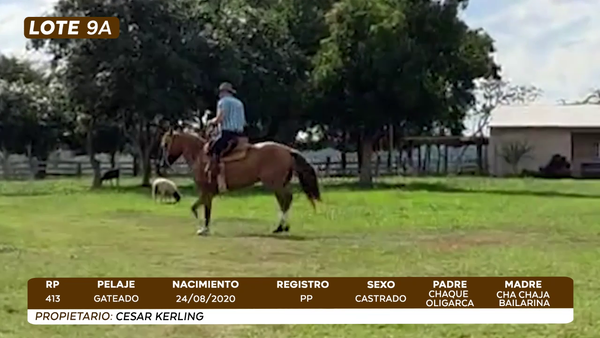 Lote LOTE 9 A- BOZAL