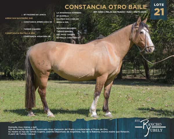 Lote Constancia Otro Baile