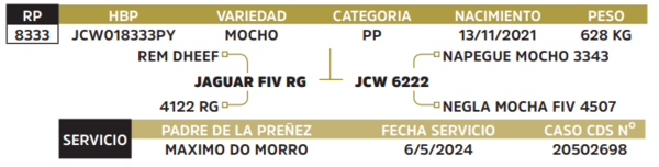 Lote LOTE 53