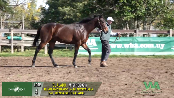 Lote EL ALADO