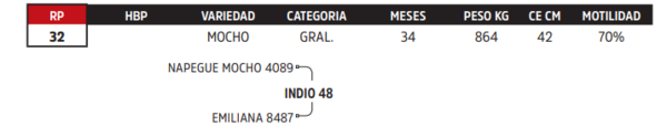 Lote LOTE 13