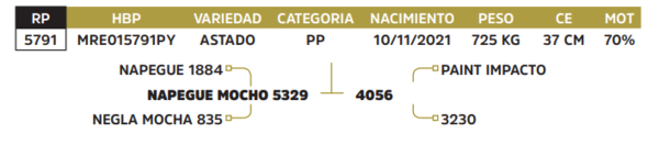 Lote LOTE 6