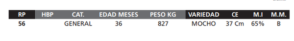 Lote LOTE 58