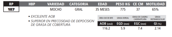 Lote LOTE 4