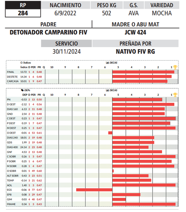 Lote LOTE 7