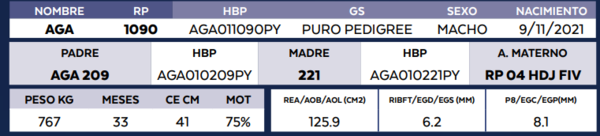 Lote LOTE 16