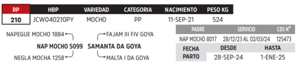 Lote LOTE 77