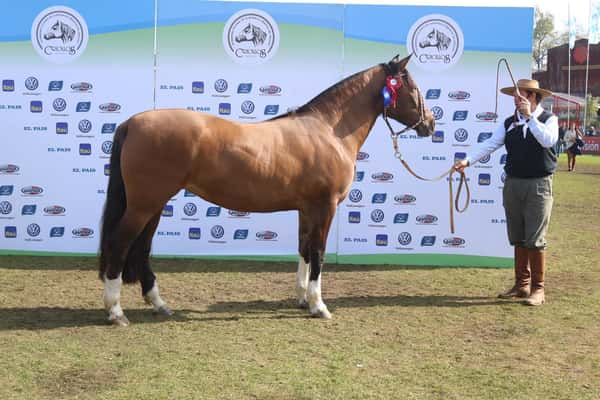 Lote El Gavilán a Punto Caramelo