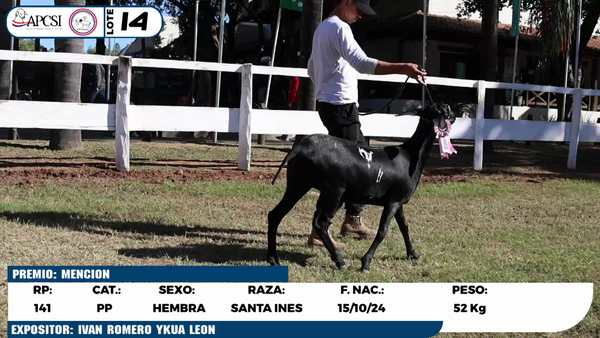Lote LOTE 14