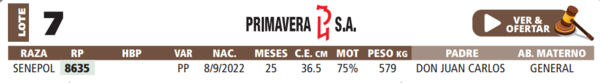 Lote LOTE 7