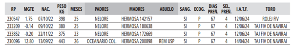 Lote LOTE 10