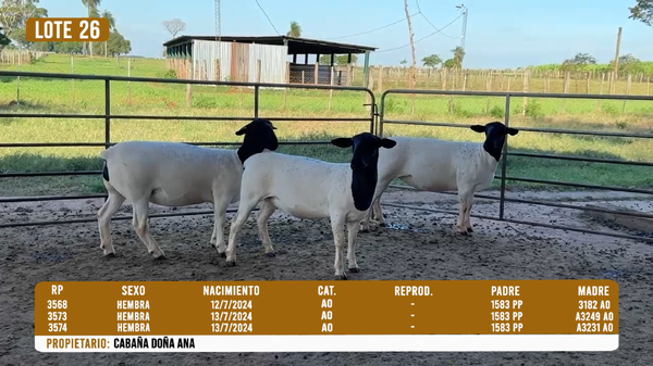 Lote LOTE 26 - DESTACADO