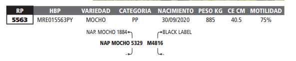 Lote LOTE 54