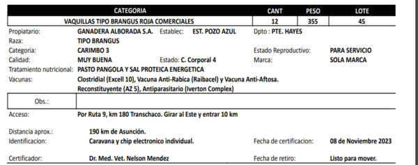 Lote LOTE 45