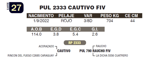 Lote LOTE 27