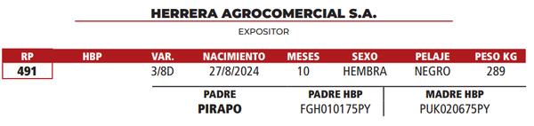 Lote LOTE 5