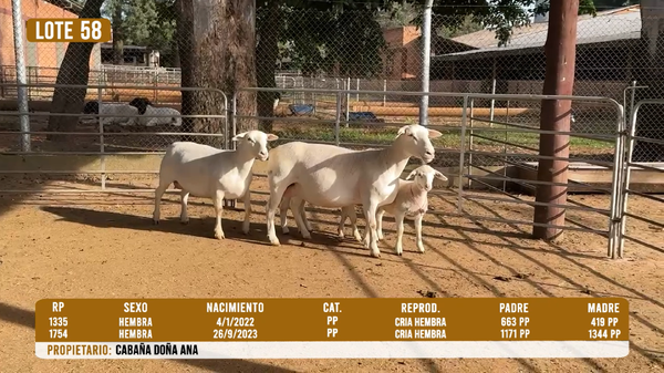 Lote LOTE 58- DESTACADO