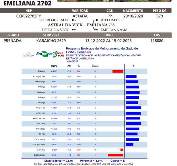 Lote LOTE 59