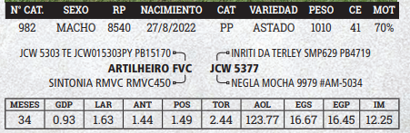 Lote LOTE 15 - BOZAL