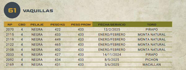 Lote LOTE 61