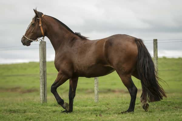 Lote La Quinientos De La Casilla