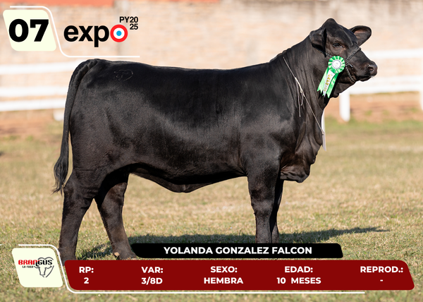 Lote LOTE 7