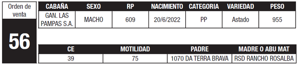 Lote LOTE 56