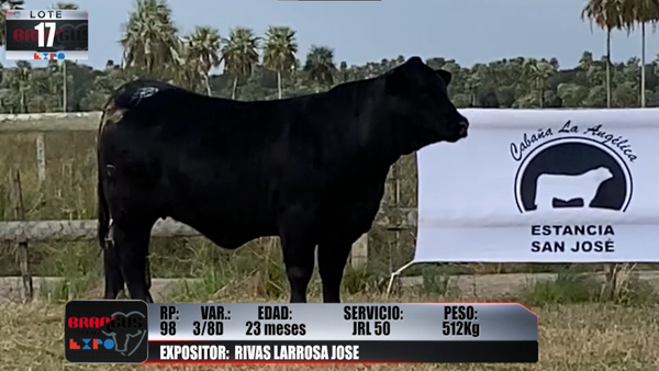 Lote Brangus a Campo Expo 2022 - Lote 17
