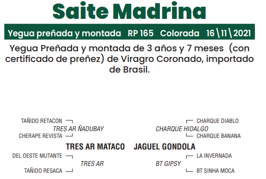 Lote LOTE 2