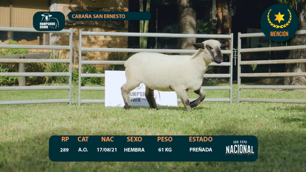 Lote LOTE 11 - SAN ERNESTO - RP 289