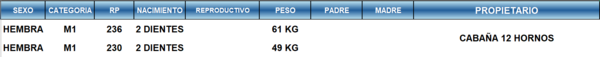 Lote LOTE 13