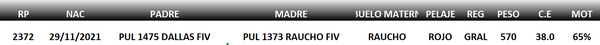 Lote LOTE 54